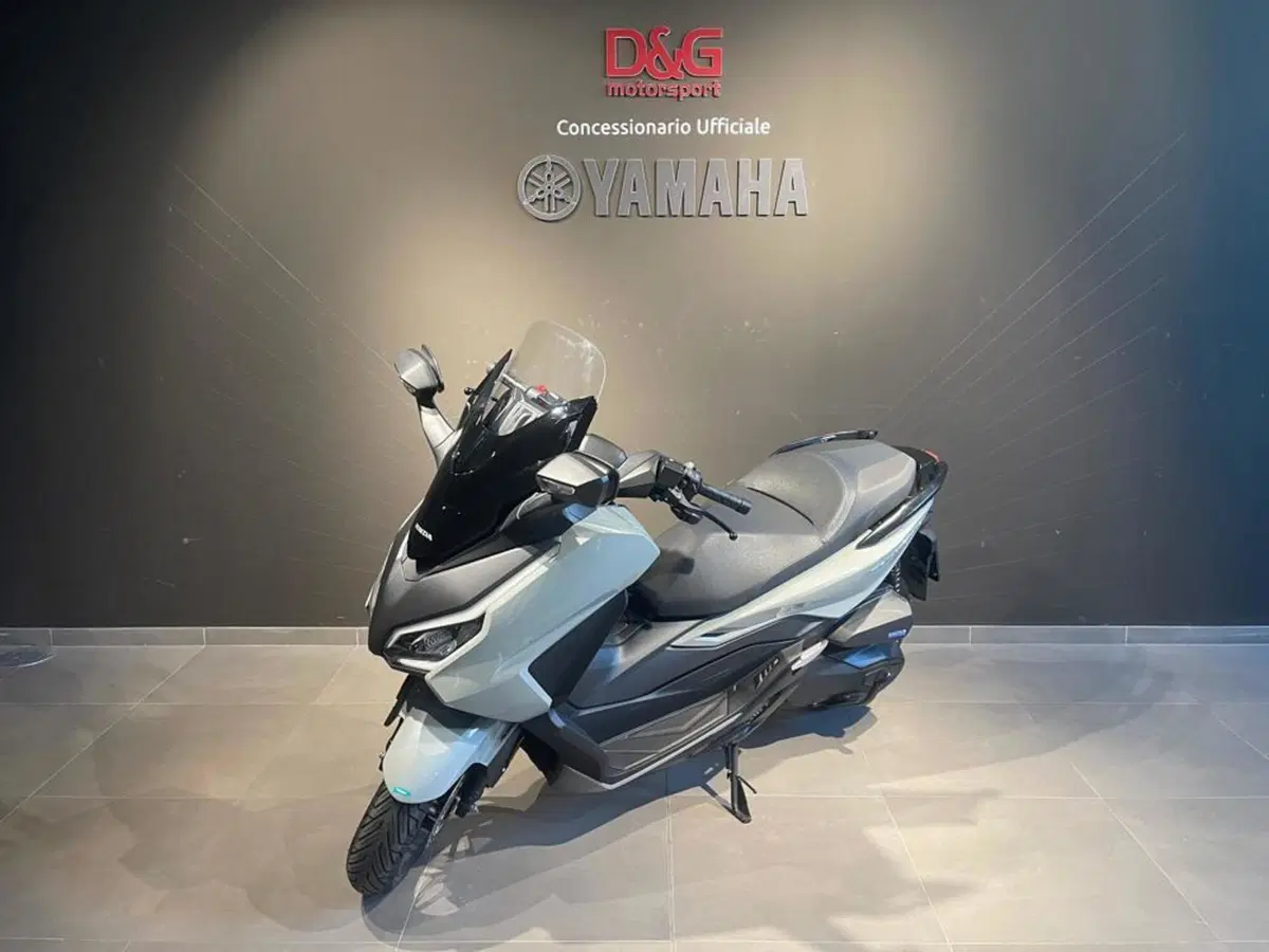 Honda Forza 350 Deluxe (2022 - 24) (3)