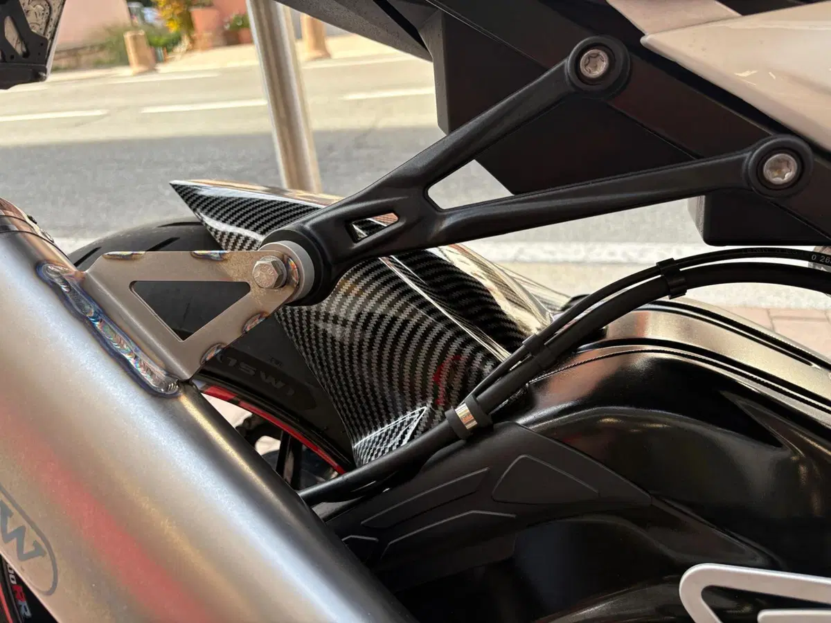 Bmw S 1000 RR (2017 - 18) (10)