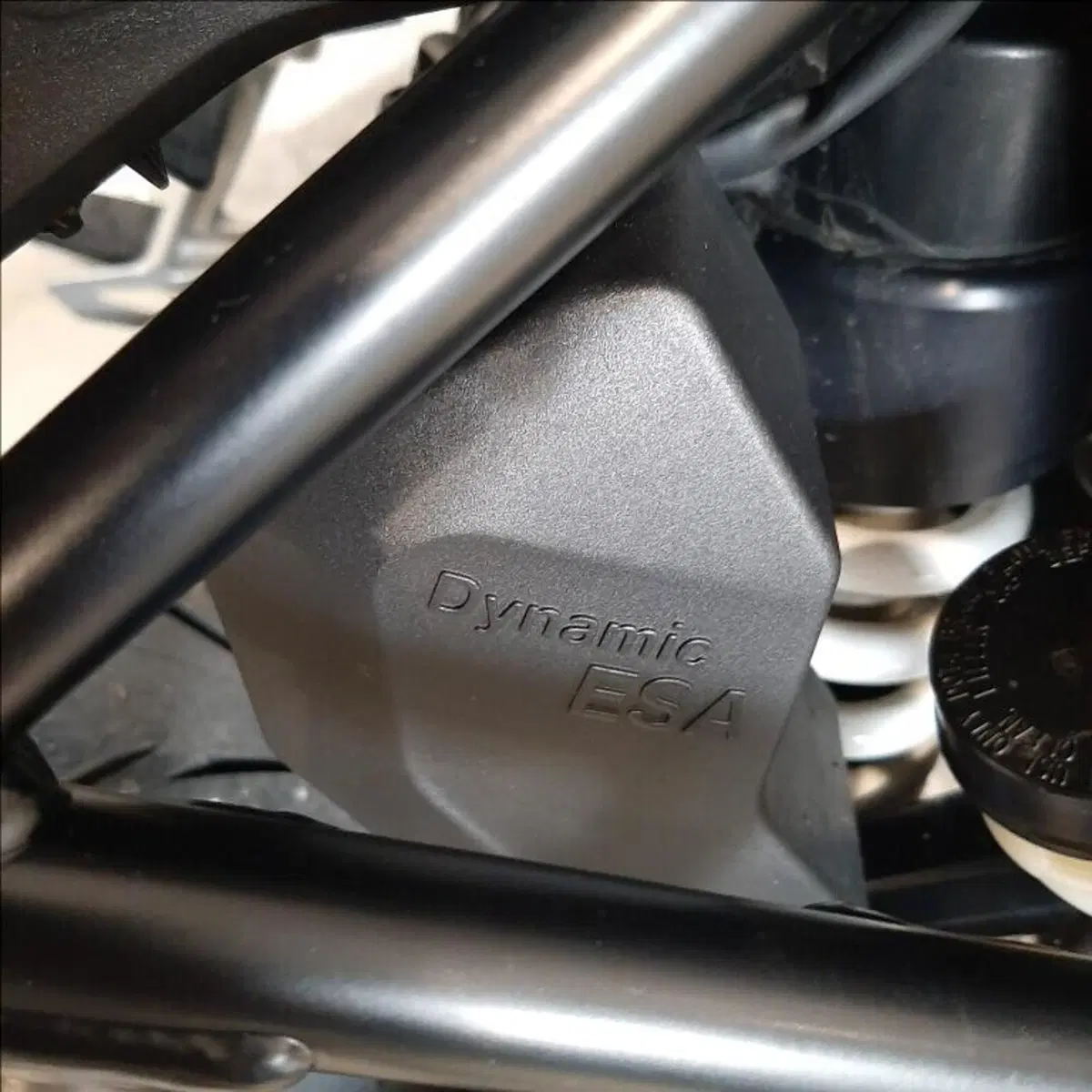 Bmw R 1250 R (2019 - 20) (9)