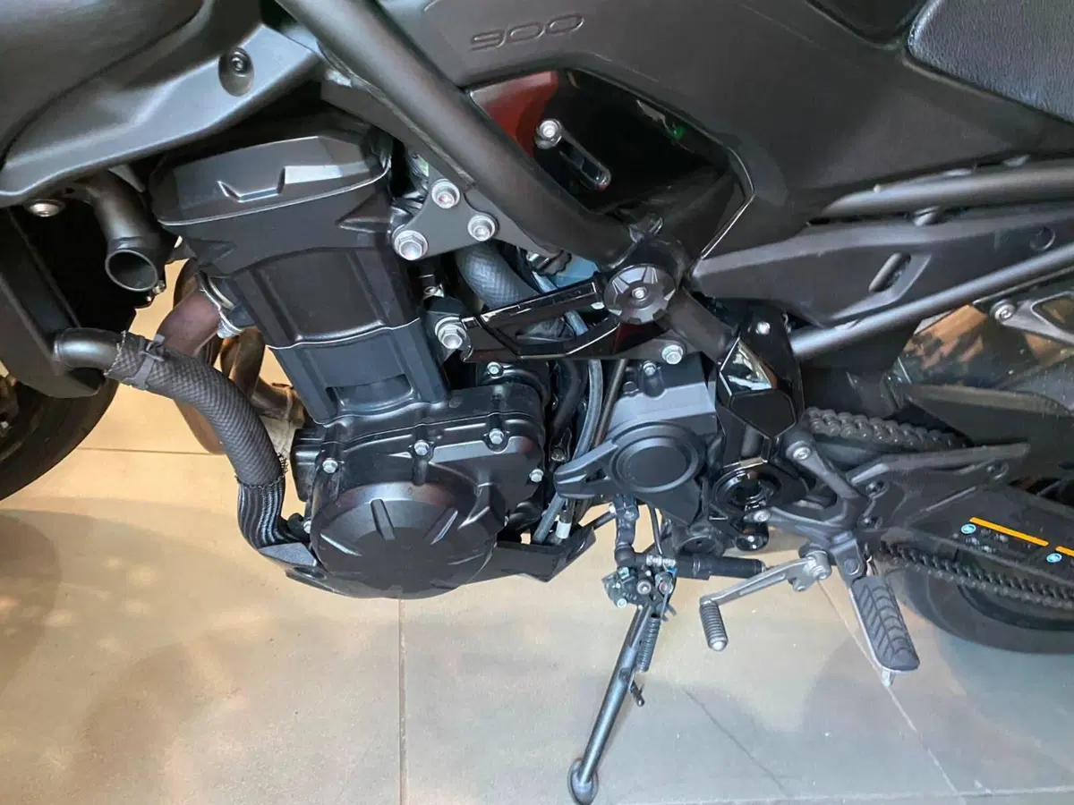 Kawasaki Z 900 (2025 - 26) (5)