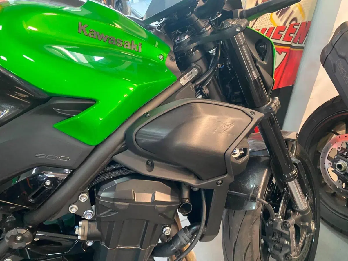 Kawasaki Z 900 (2025 - 26) (6)