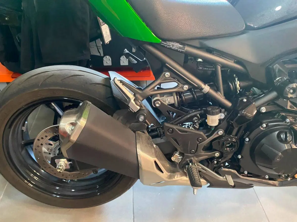 Kawasaki Z 900 (2025 - 26) (7)
