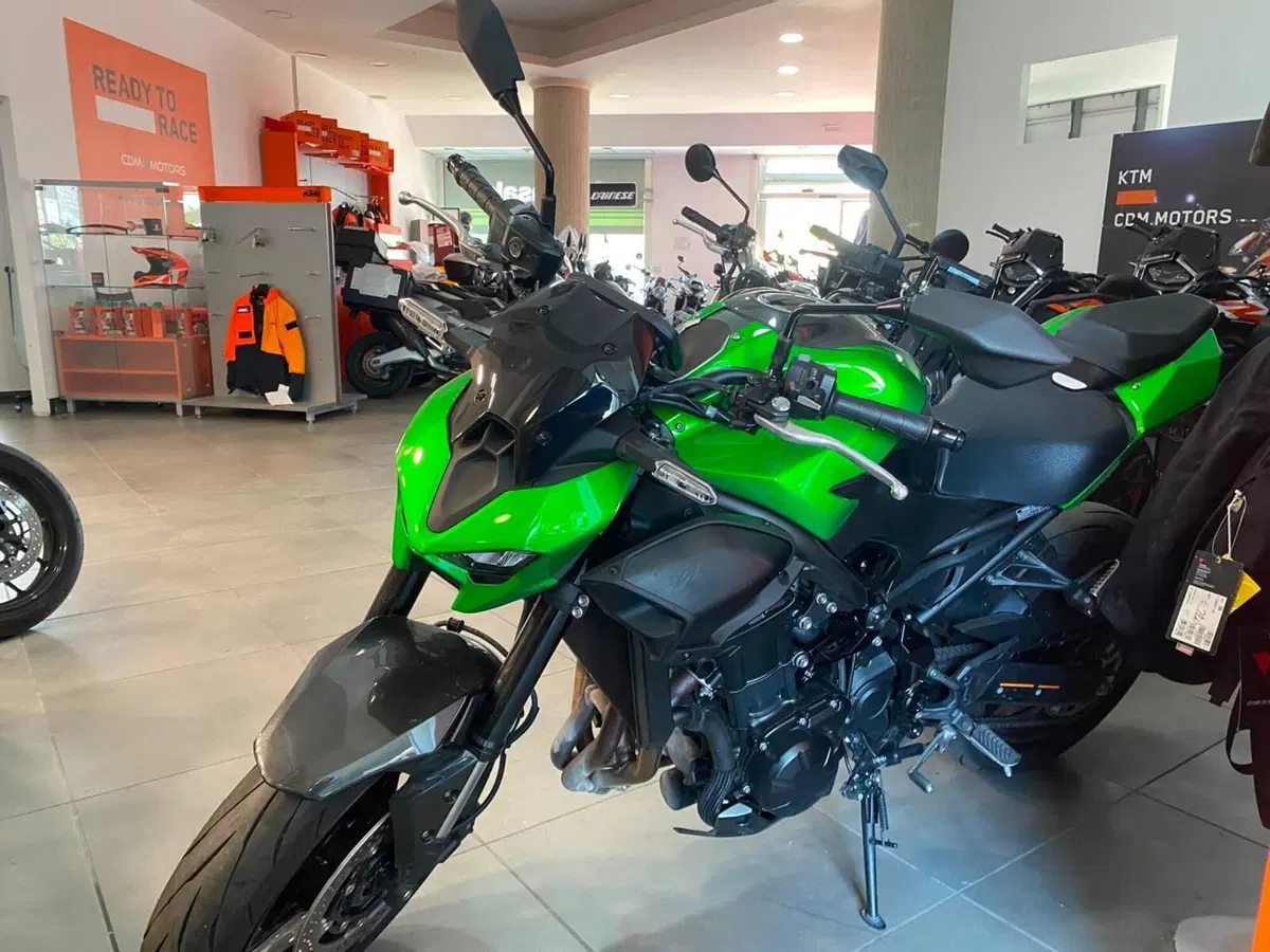 Kawasaki Z 900 (2025 - 26) (4)