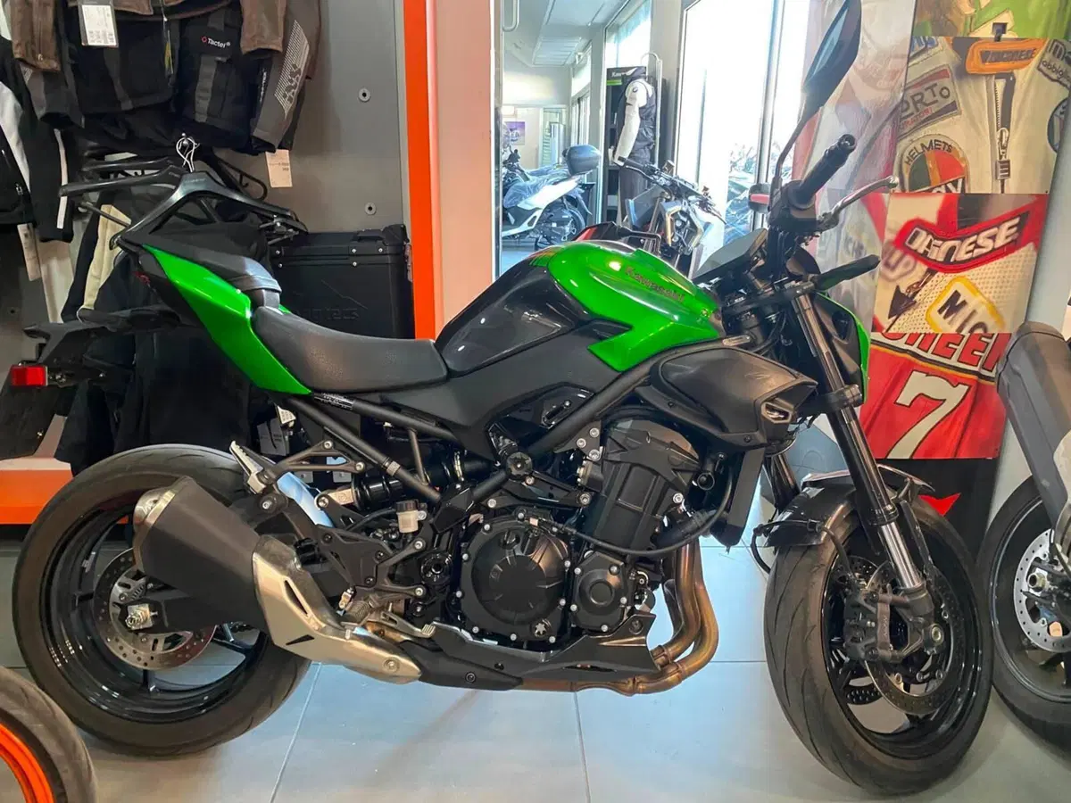 Kawasaki Z 900 (2025 - 26)
