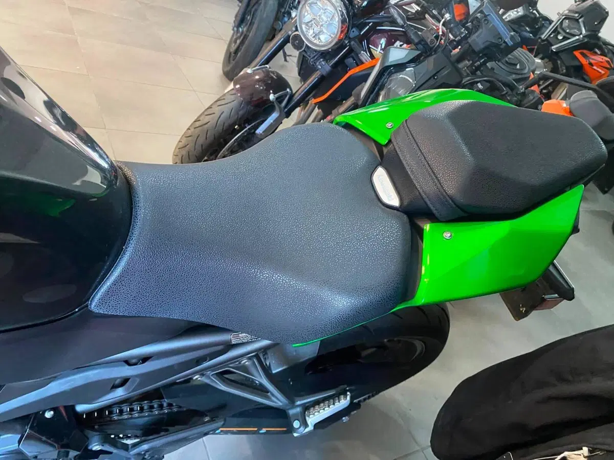 Kawasaki Z 900 (2025 - 26) (8)