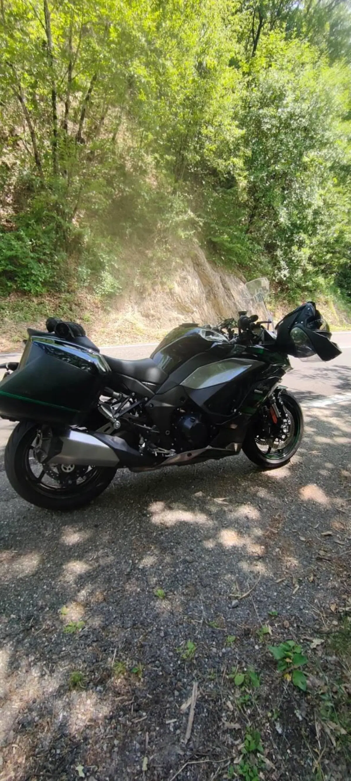 Kawasaki Ninja 1000 SX (2020) (2)