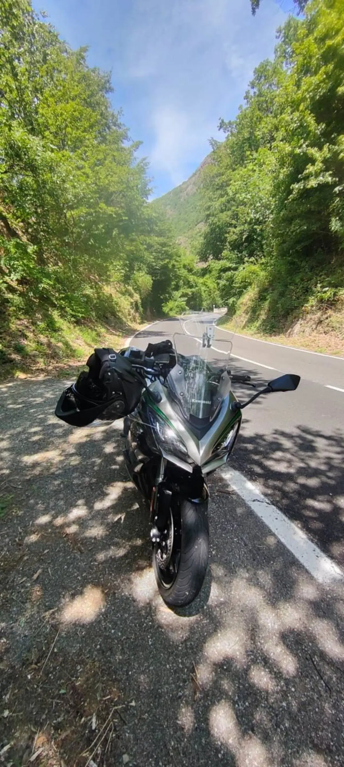 Kawasaki Ninja 1000 SX (2020) (3)