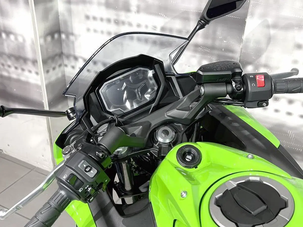 Kawasaki Ninja 650 (2025 - 26) (6)