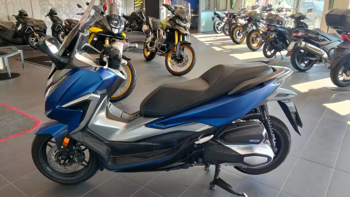 Honda Forza 350 (2022 - 24)