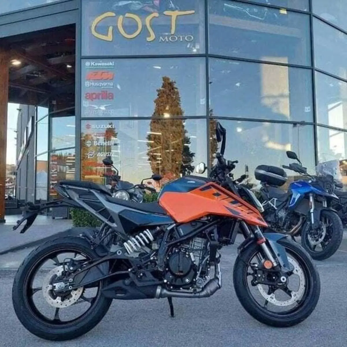 KTM 125 Duke (2024 - 25) (2)