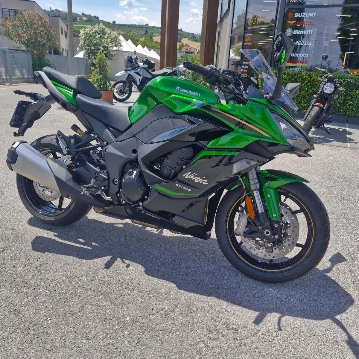 Kawasaki Ninja 1100 SX SE (2025 - 26) (9)