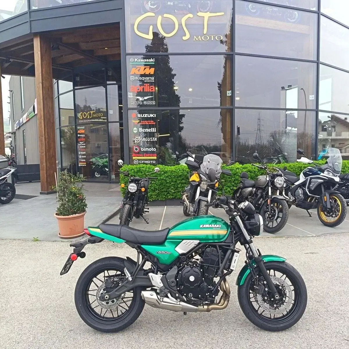 Kawasaki Z 650 RS (2025 - 26) (2)