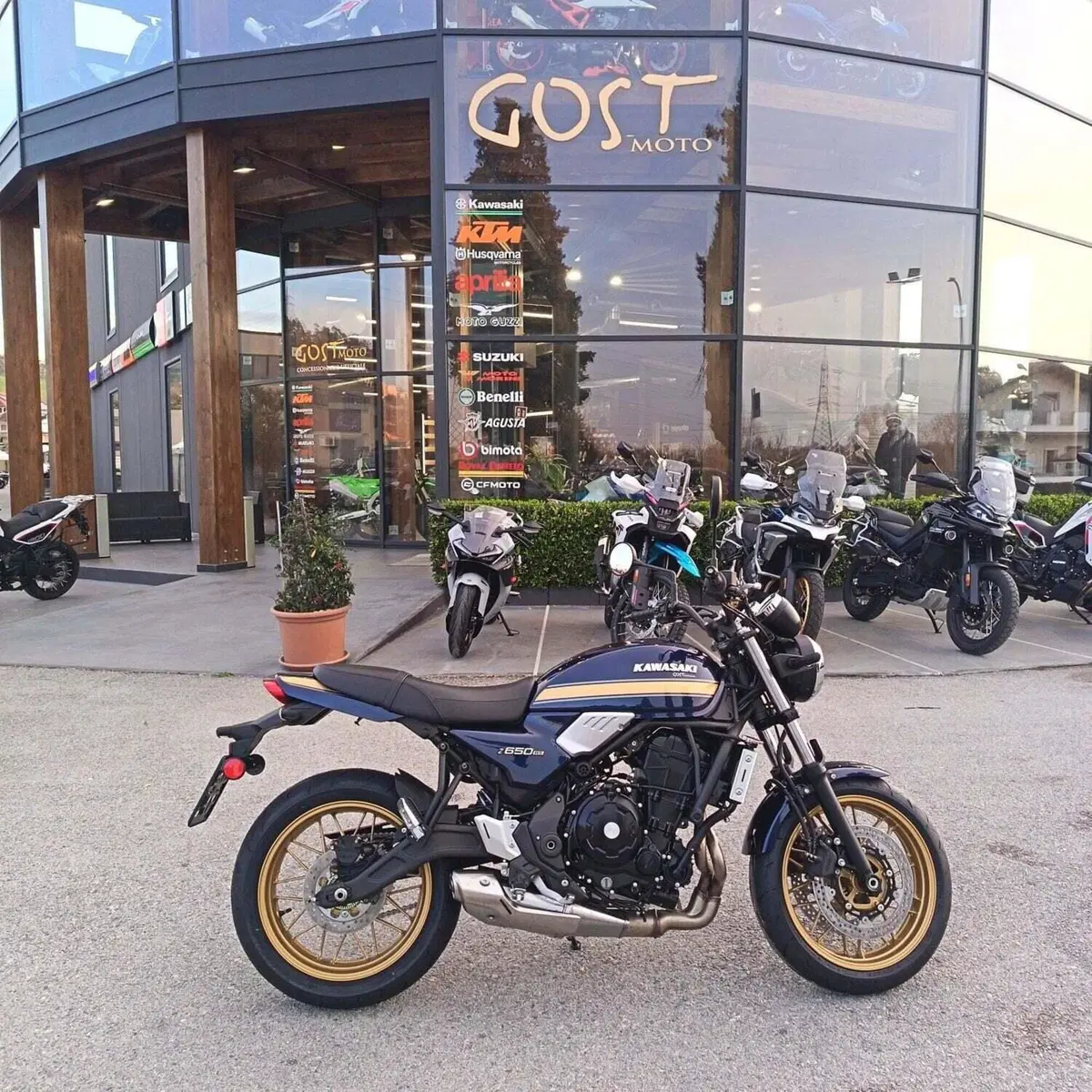 Kawasaki Z 650 RS (2025 - 26) (2)