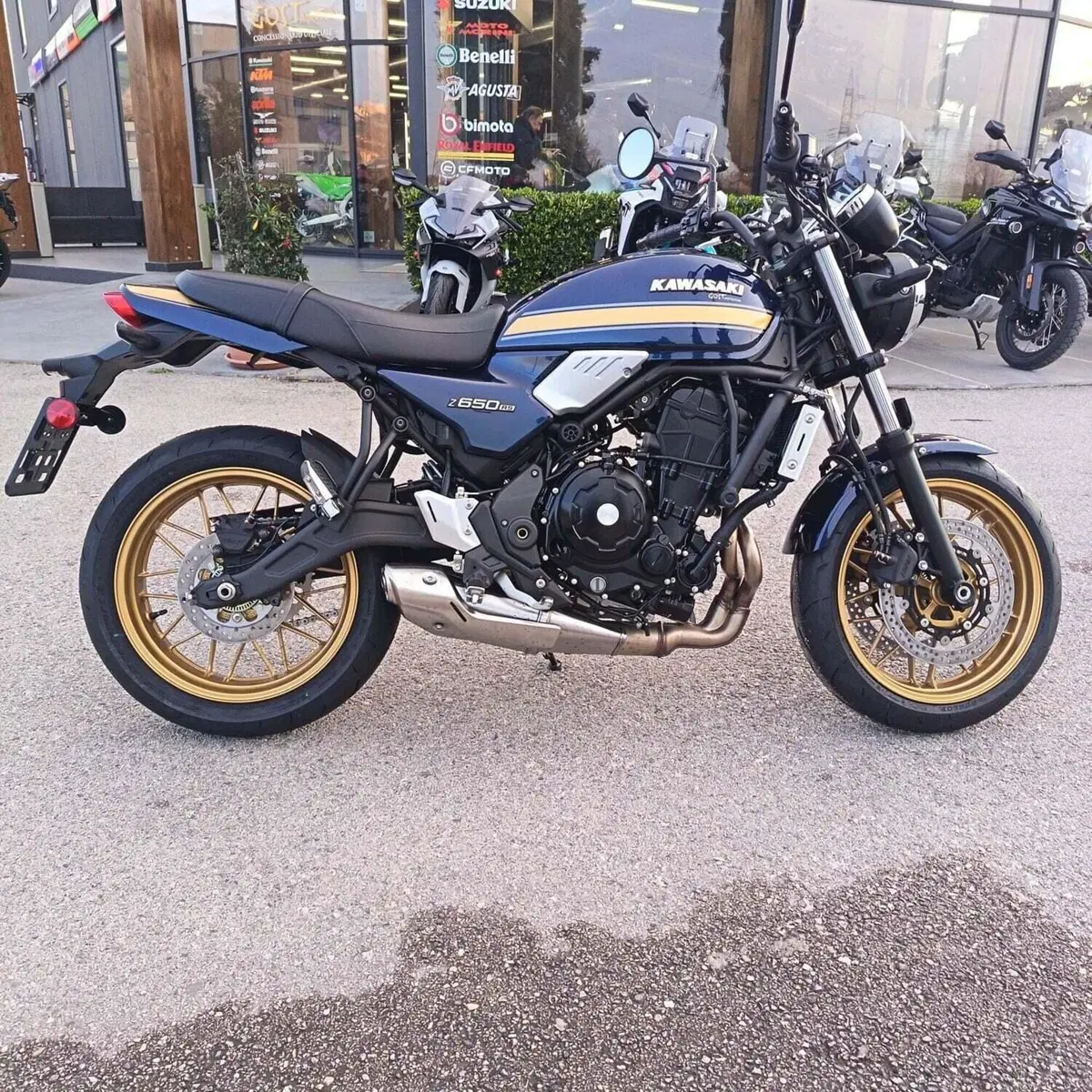 Kawasaki Z 650 RS (2025 - 26) (3)