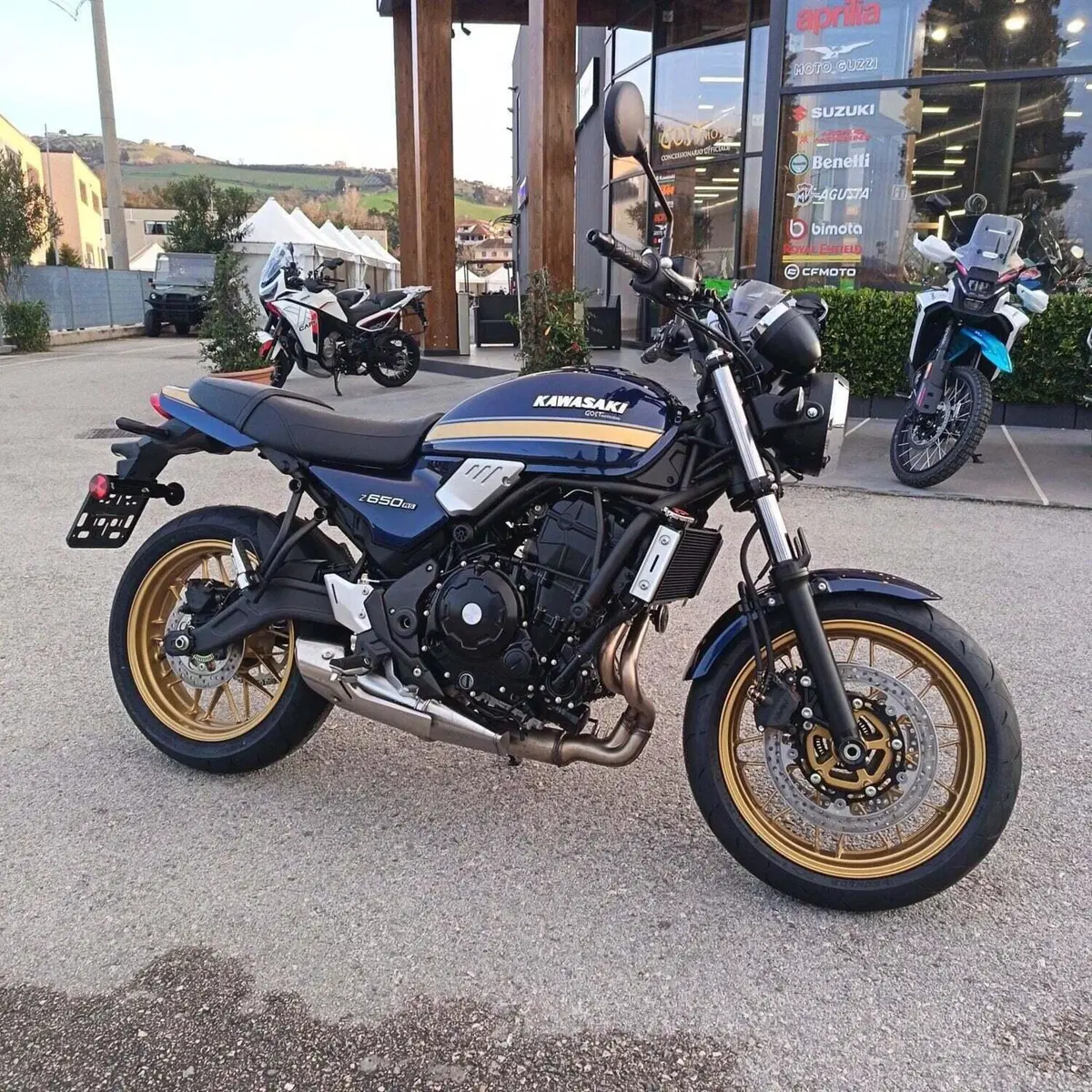 Kawasaki Z 650 RS (2025 - 26) (4)