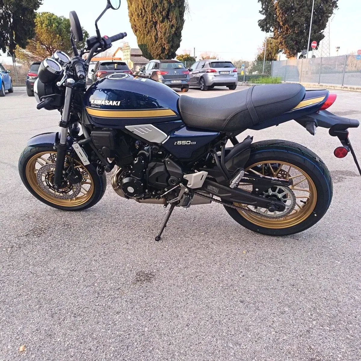 Kawasaki Z 650 RS (2025 - 26) (7)