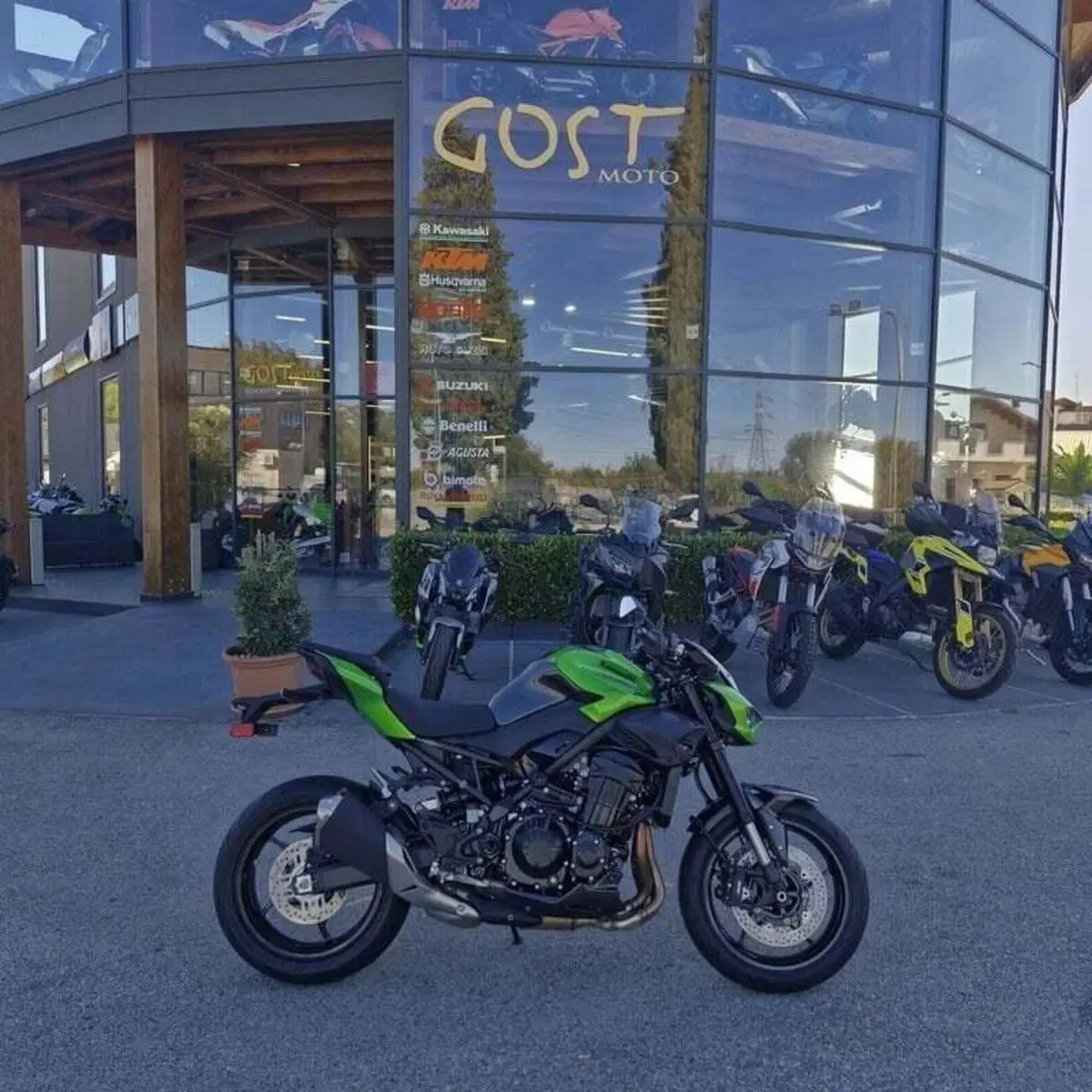 Kawasaki Z 900 (2025 - 26) (2)