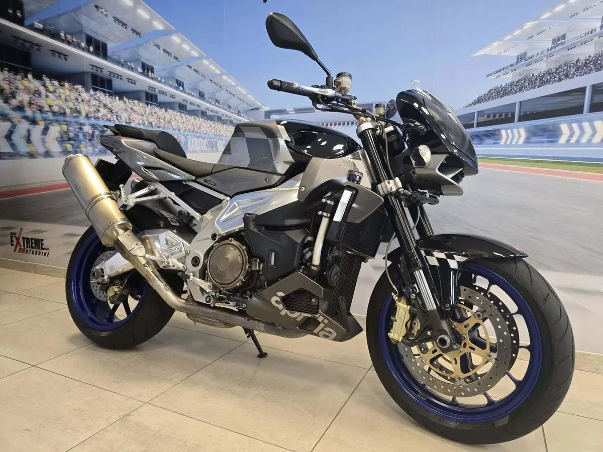 Aprilia Tuono 1000 R (2006 - 10) (2)