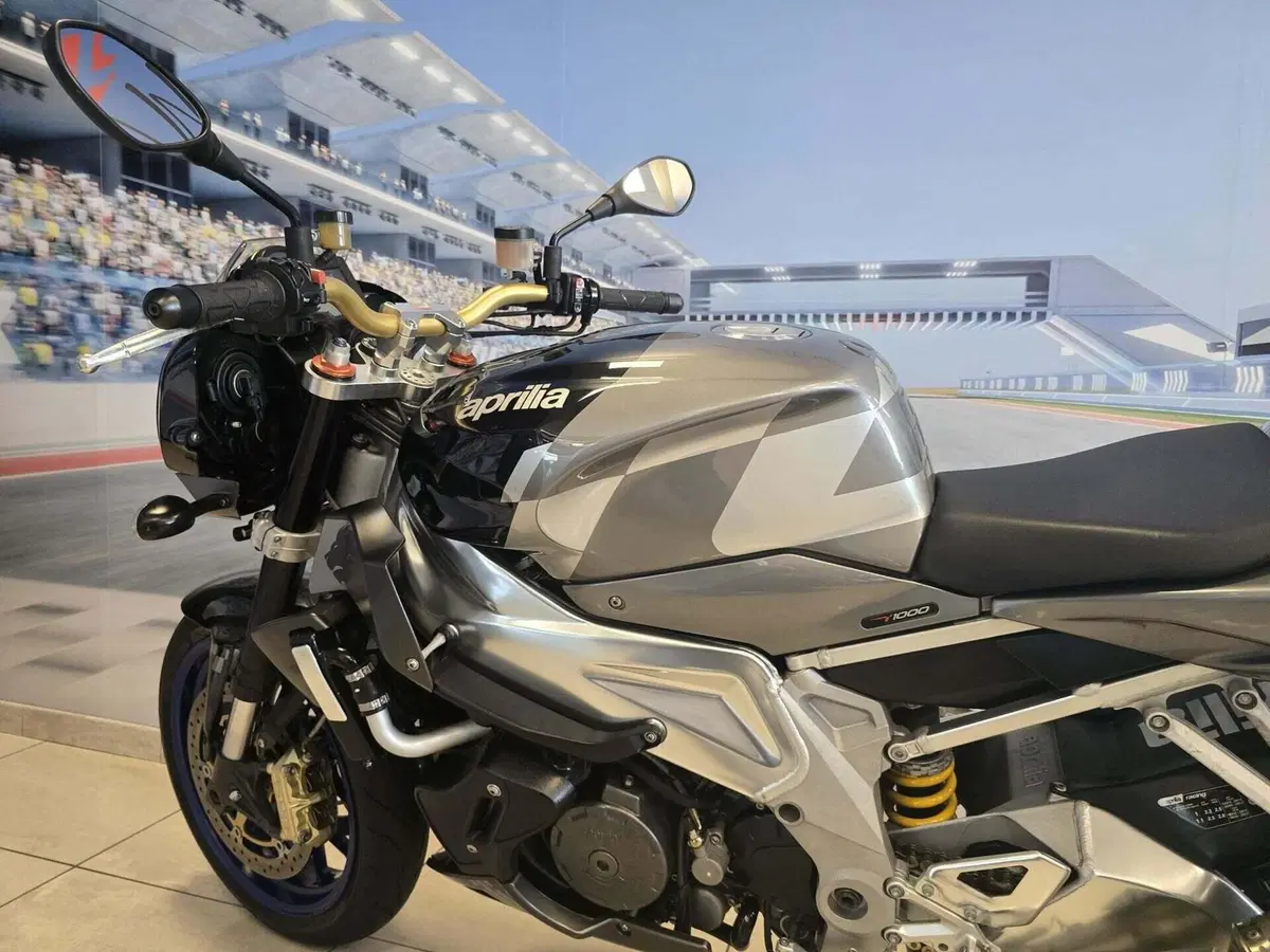 Aprilia Tuono 1000 R (2006 - 10) (10)