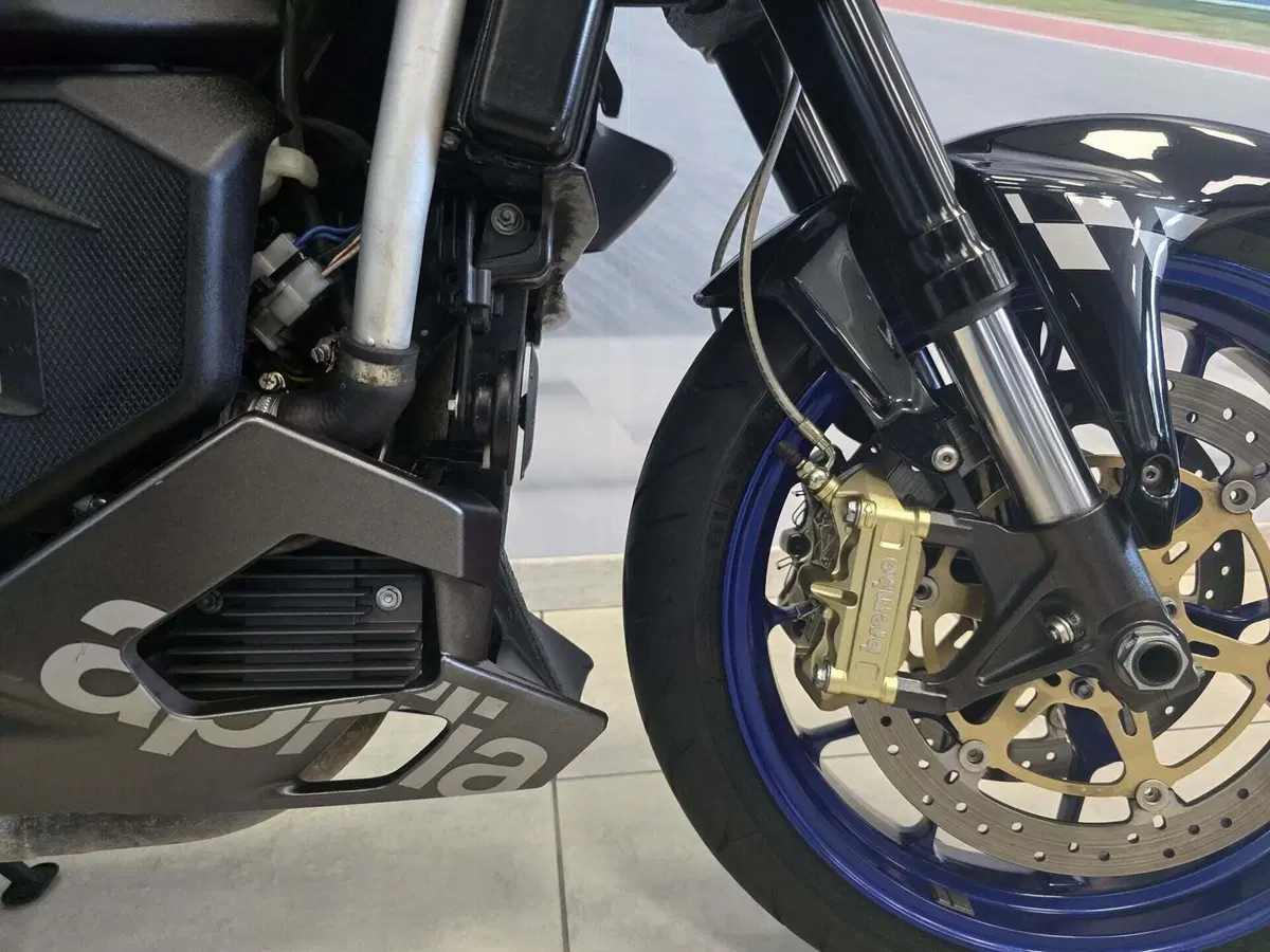 Aprilia Tuono 1000 R (2006 - 10) (17)