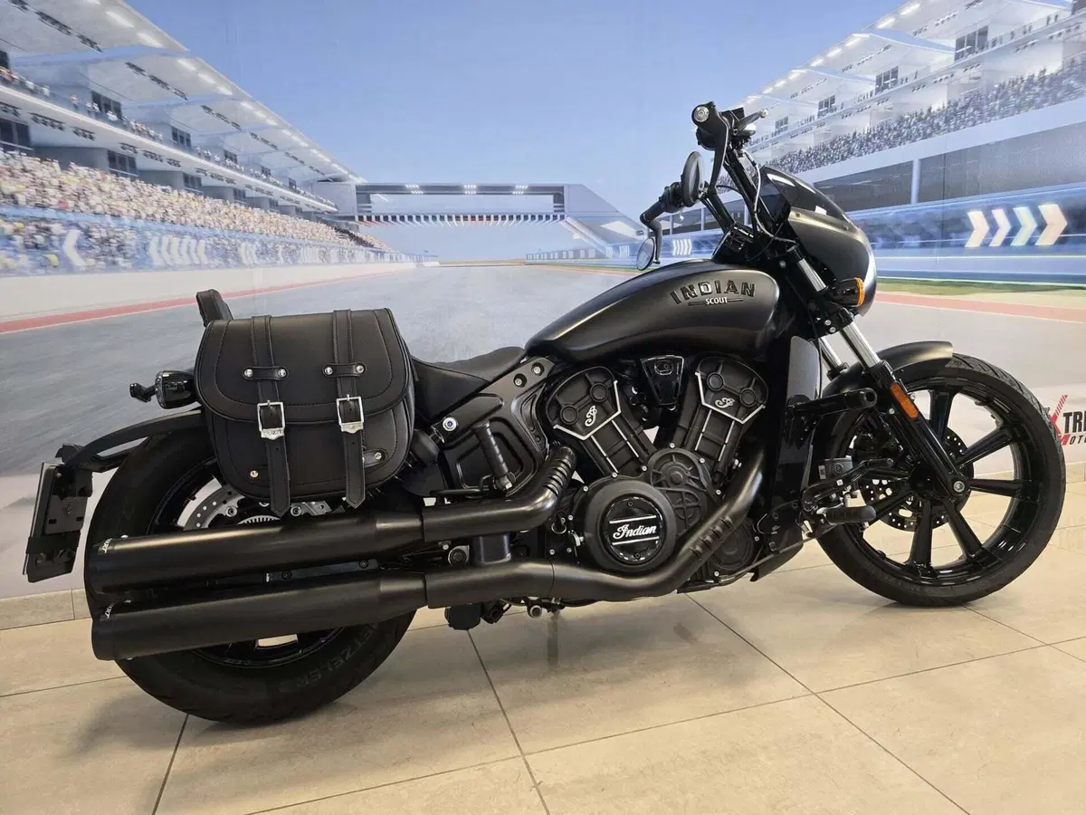 Indian Scout 1133 Rogue (2022 - 25) (16)