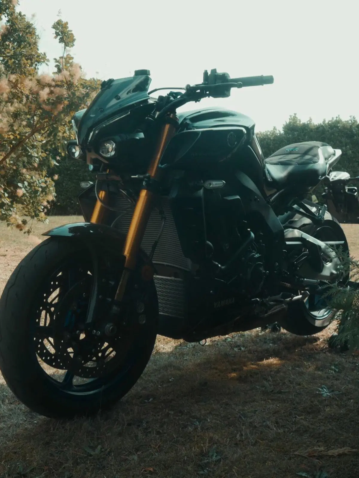 Yamaha MT-10 SP (2022 - 25) (13)