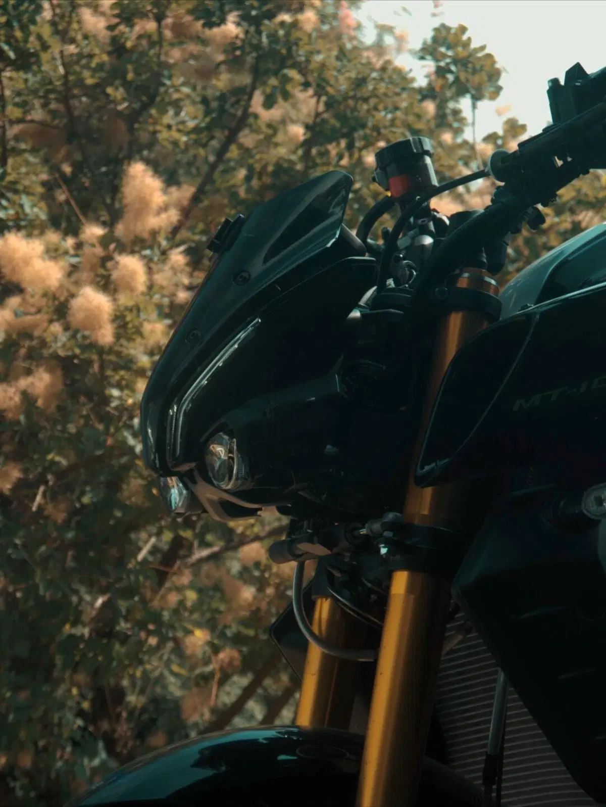 Yamaha MT-10 SP (2022 - 25) (15)