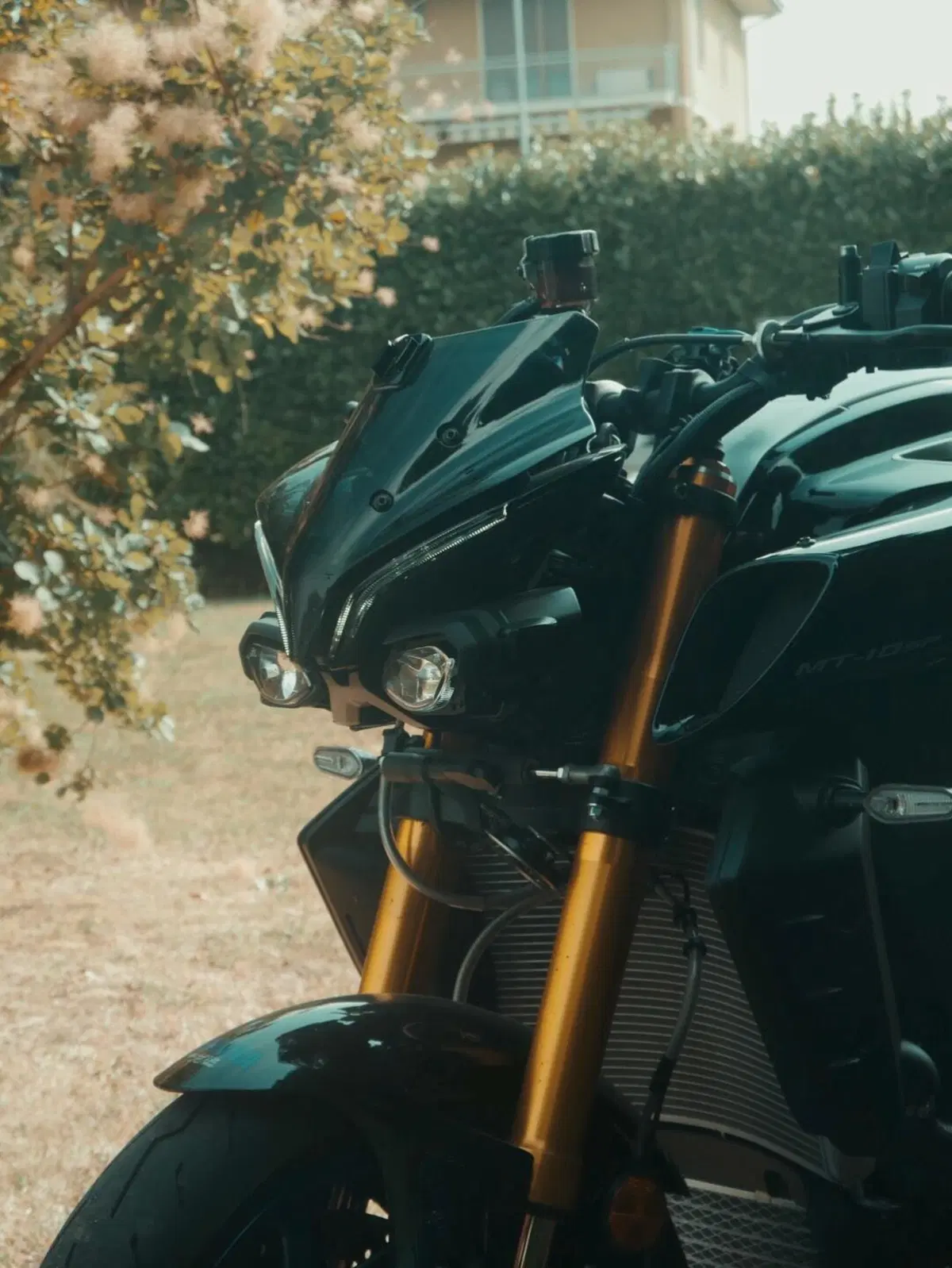 Yamaha MT-10 SP (2022 - 25) (16)