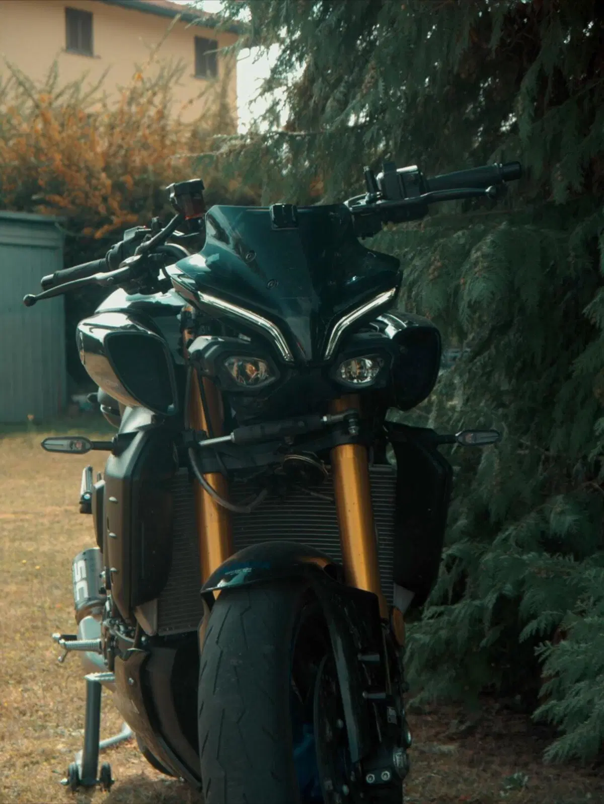 Yamaha MT-10 SP (2022 - 25) (17)