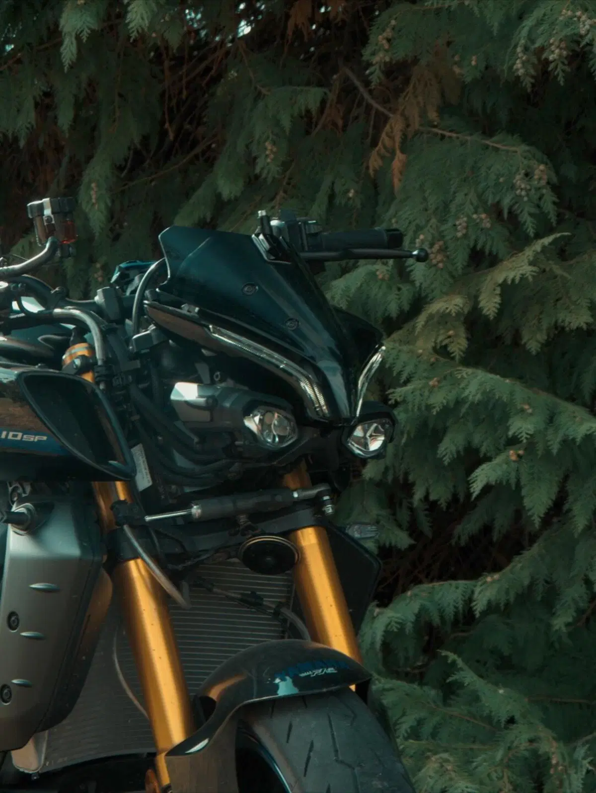 Yamaha MT-10 SP (2022 - 25) (4)