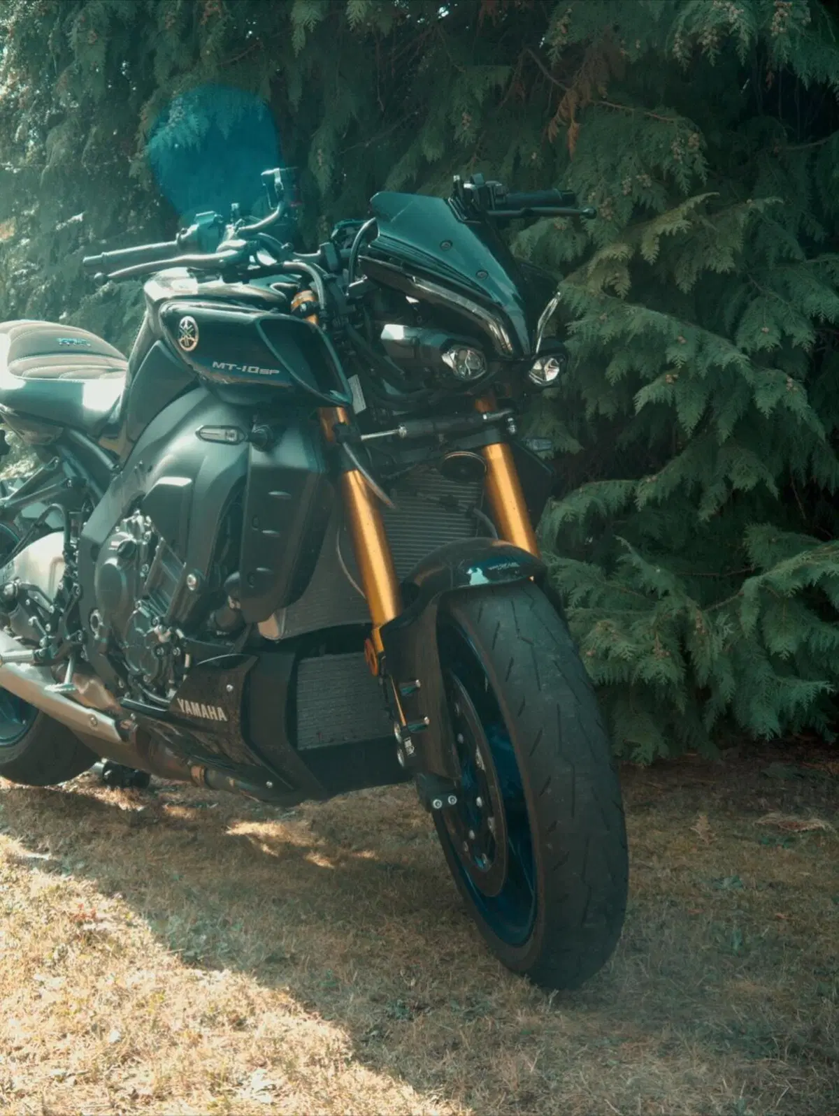 Yamaha MT-10 SP (2022 - 25) (20)