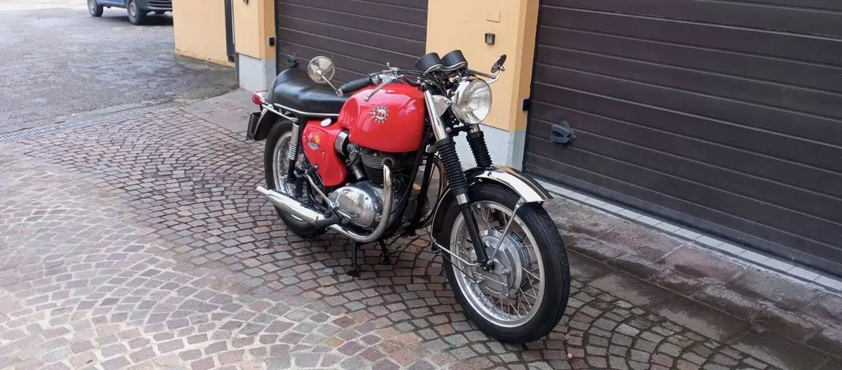 Bsa 650 SPITFIRE (20)