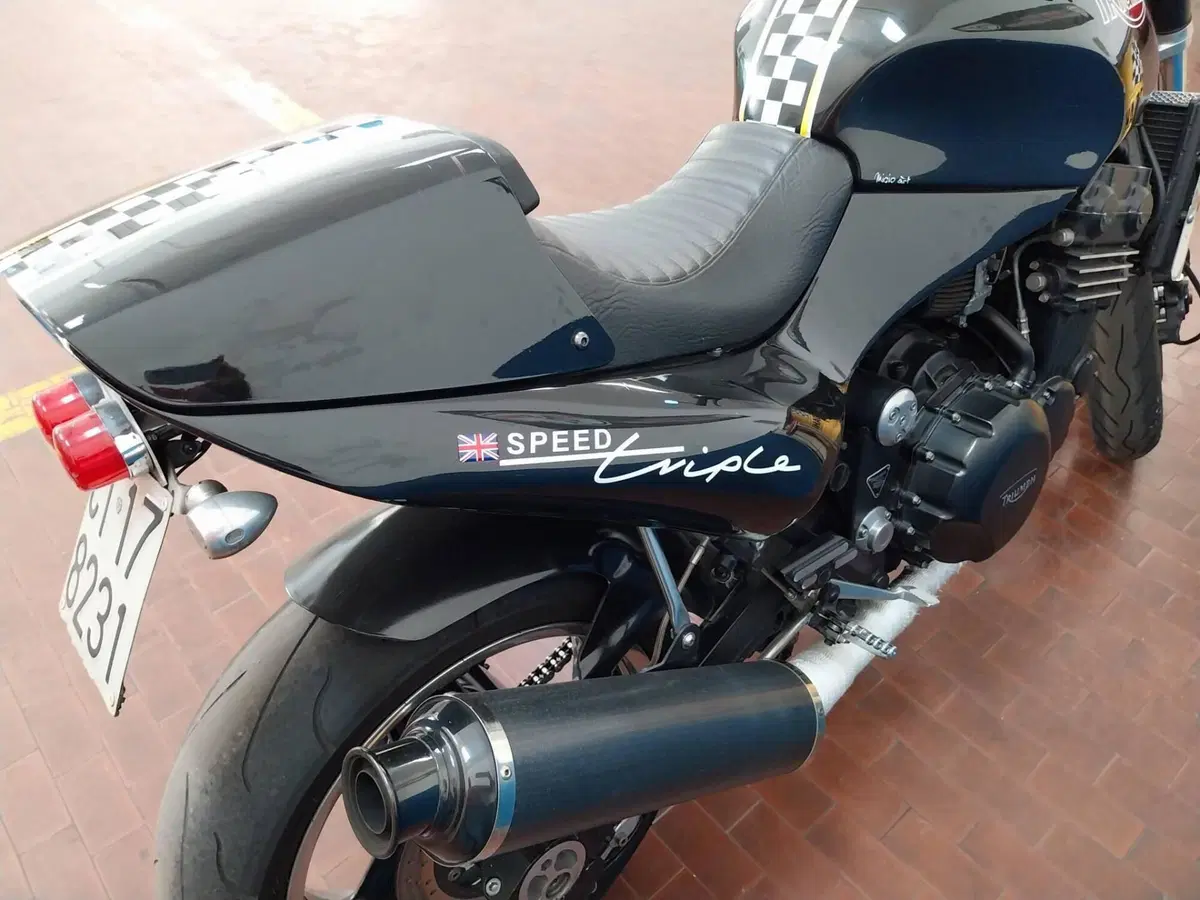 Triumph speed triple  (2)