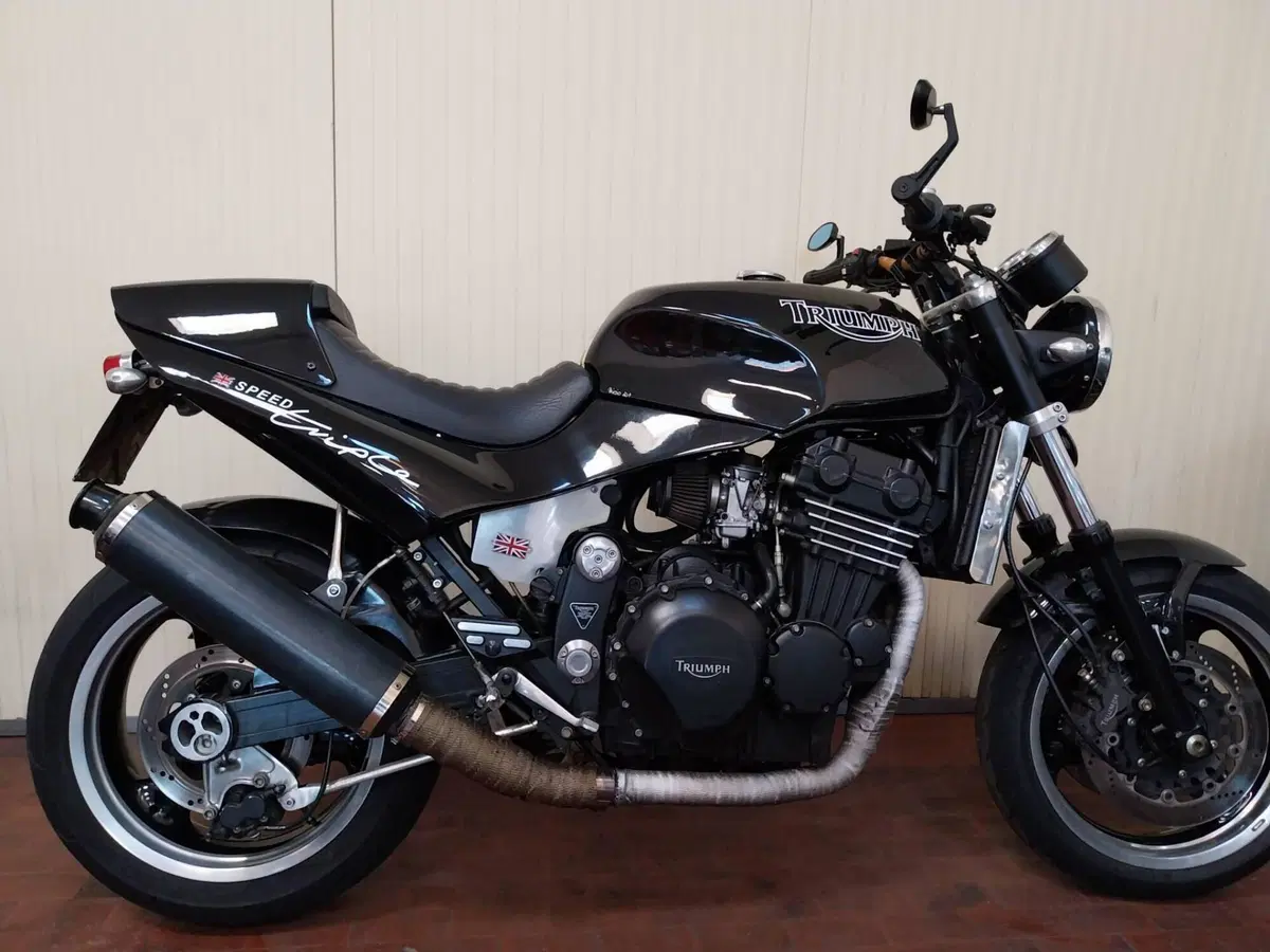 Triumph speed triple  (5)