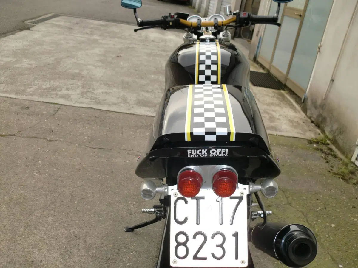 Triumph speed triple  (8)