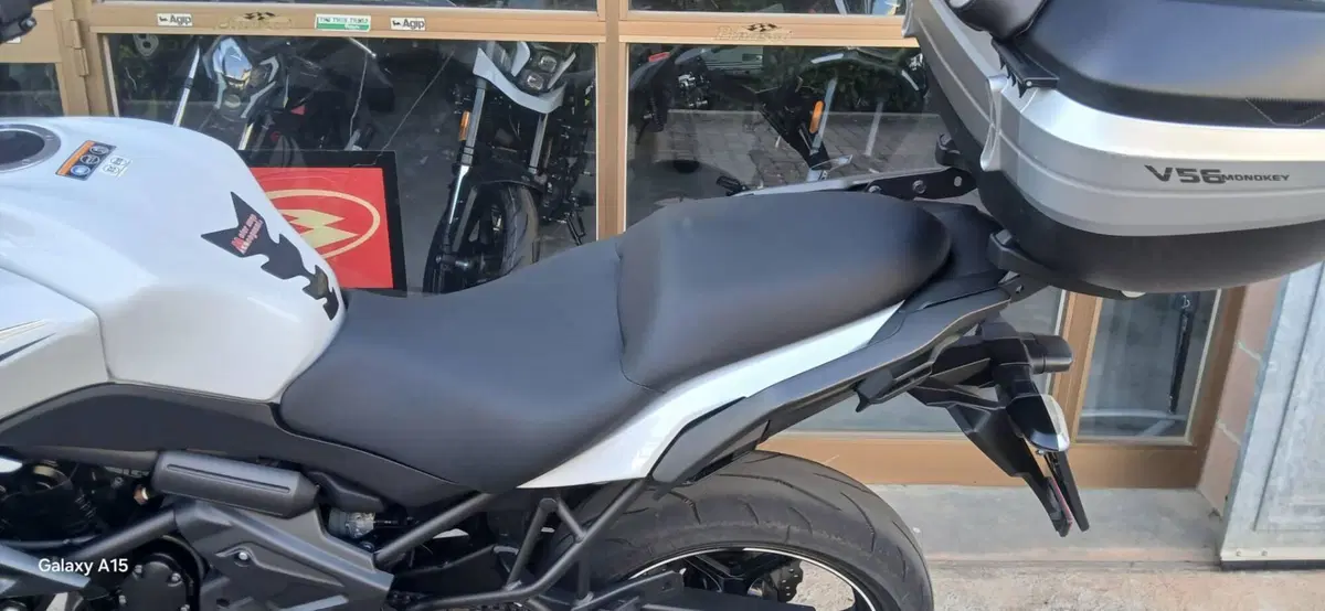 Kawasaki Versys 650 (2017 - 20) (3)
