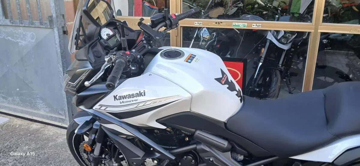 Kawasaki Versys 650 (2017 - 20) (4)