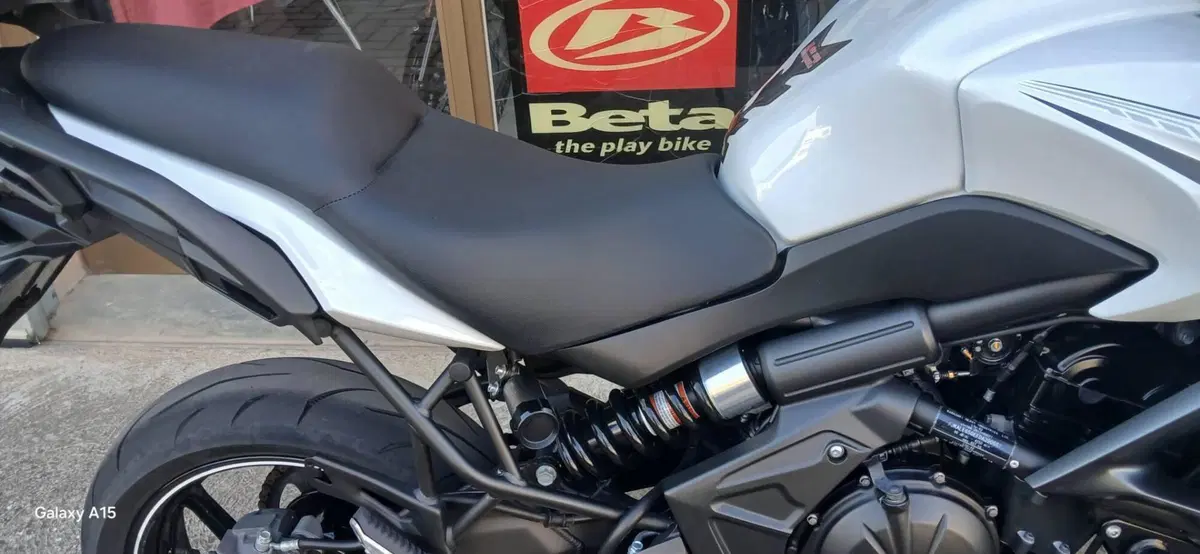 Kawasaki Versys 650 (2017 - 20) (14)
