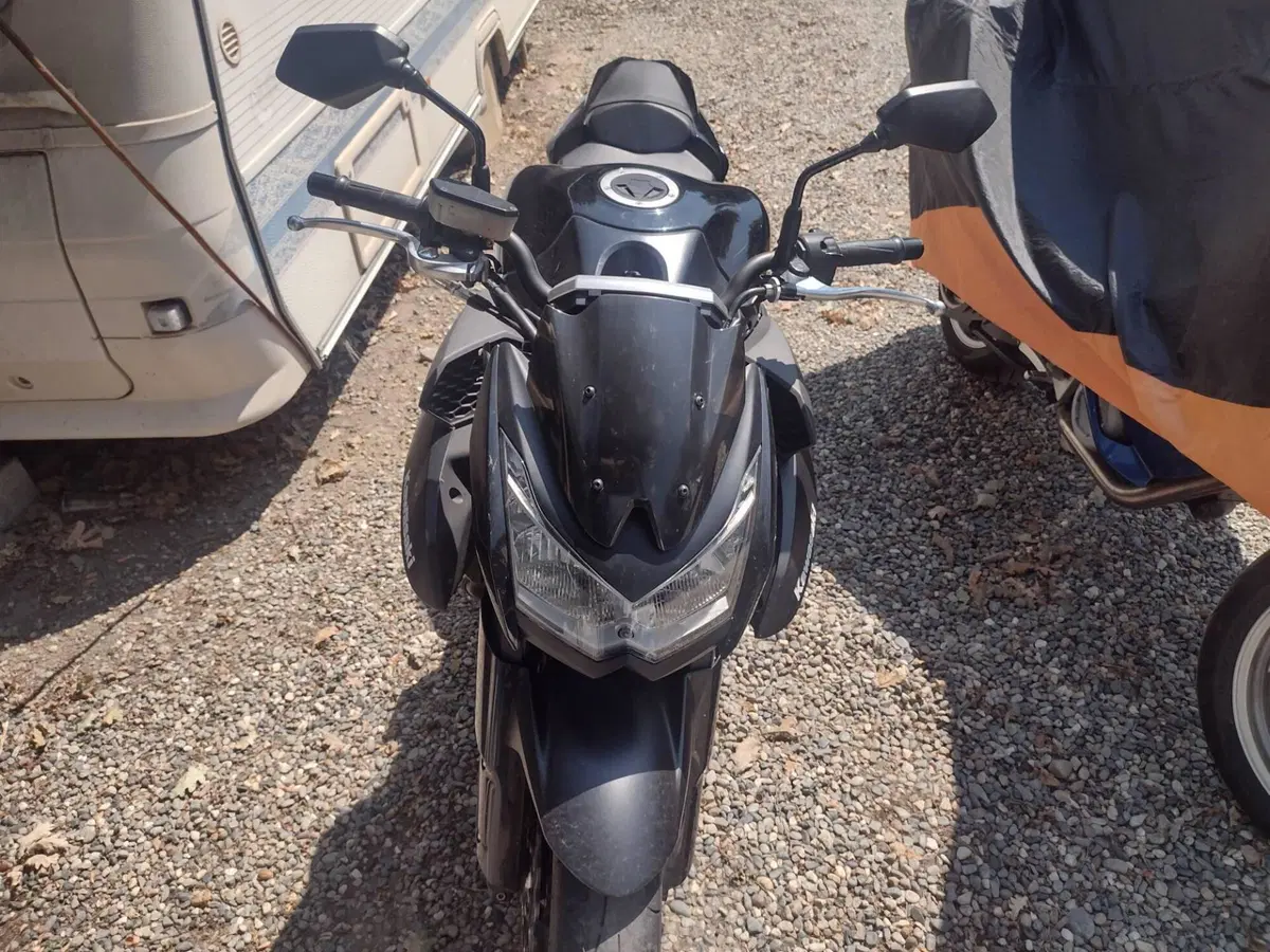 Kawasaki Z 1000 (2010 - 13) (8)