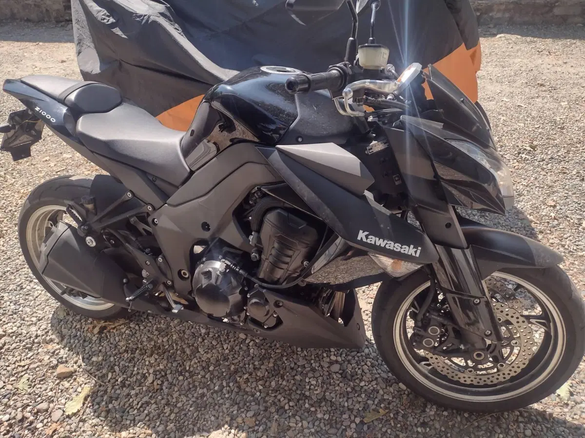 Kawasaki Z 1000 (2010 - 13) (9)