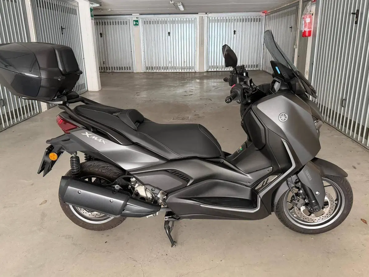 Yamaha X-Max 300 (2021 - 24) (5)