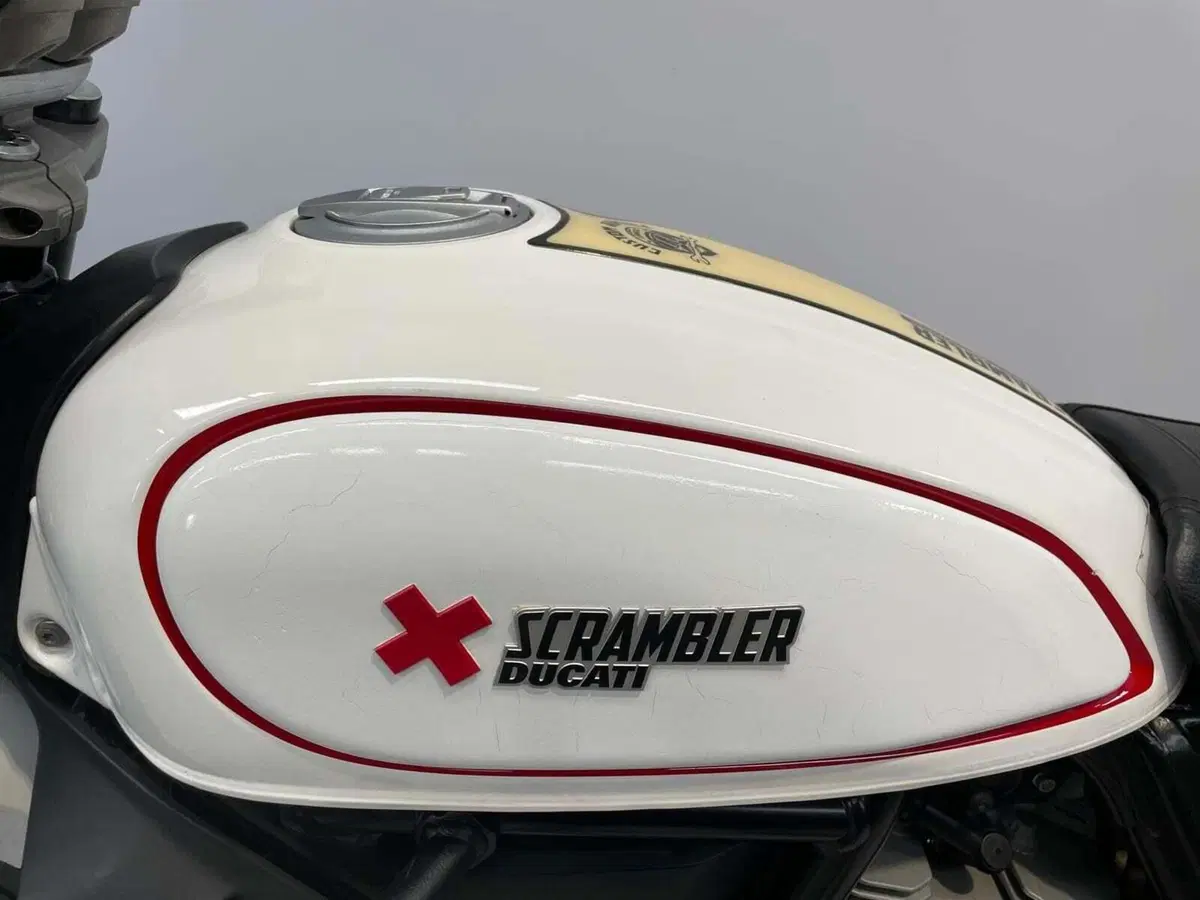 Ducati Scrambler 800 Desert Sled (2017 - 20) (4)