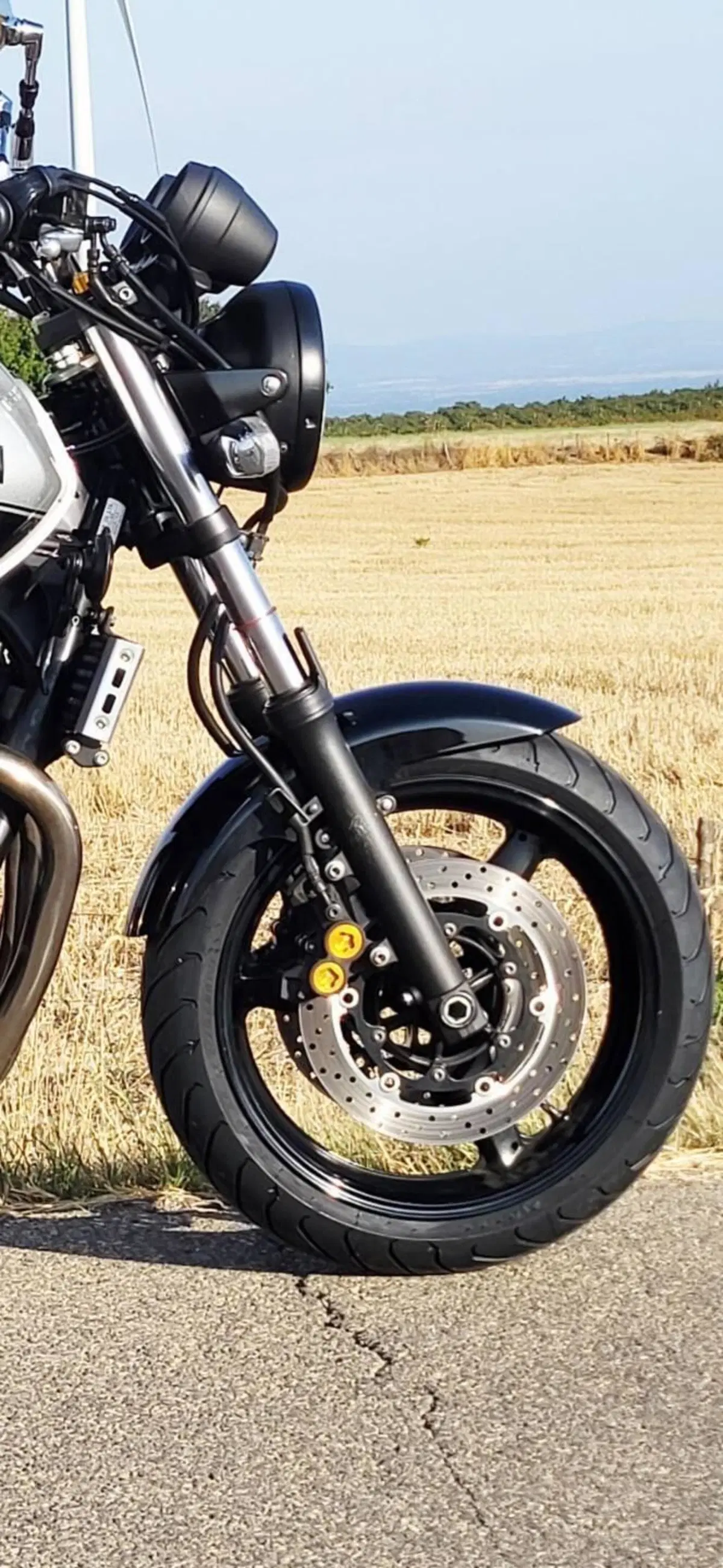 Yamaha XJR 1300 (2006 - 14) (6)