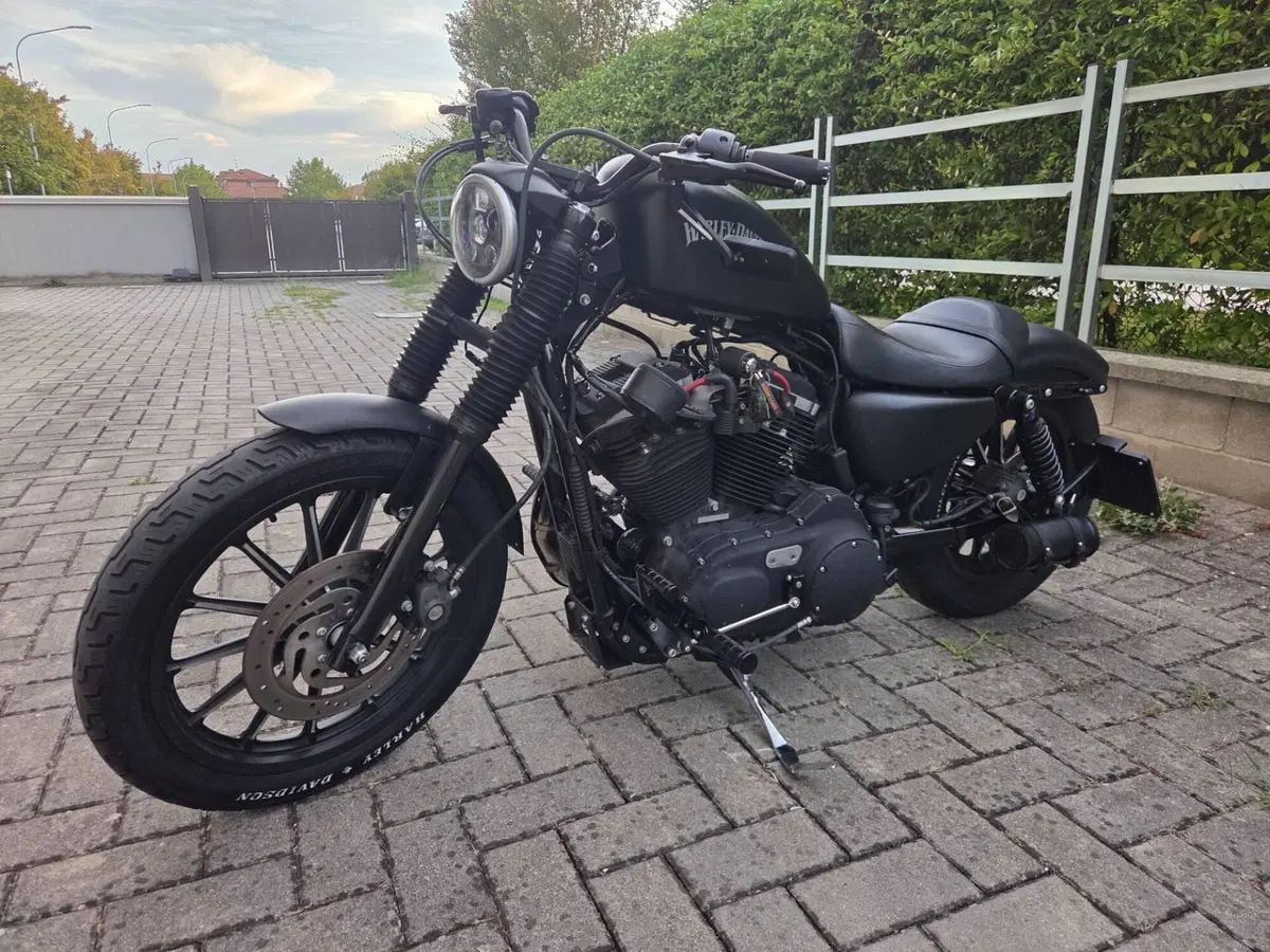 Harley-Davidson 883 Custom (2008 - 12) - XL 883C (2)