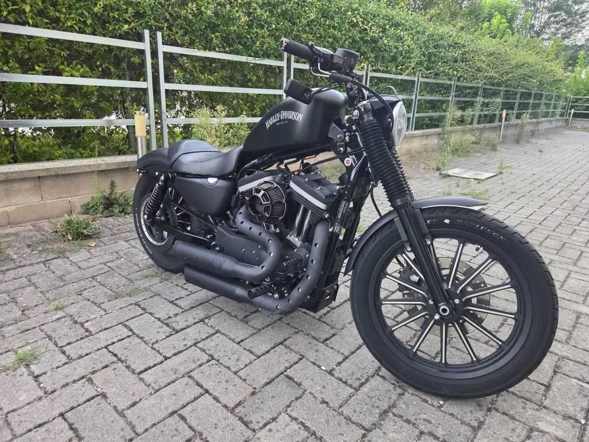 Harley-Davidson 883 Custom (2008 - 12) - XL 883C (3)