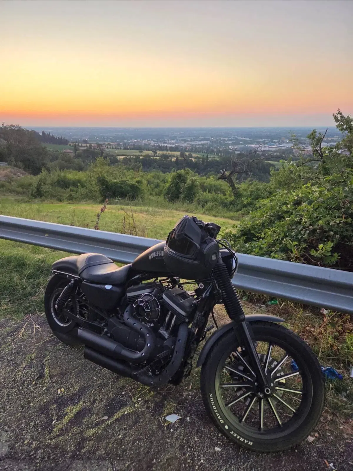 Harley-Davidson 883 Custom (2008 - 12) - XL 883C