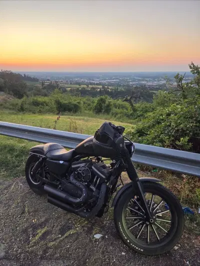 Harley-Davidson 883 Custom (2008 - 12) - XL 883C usata