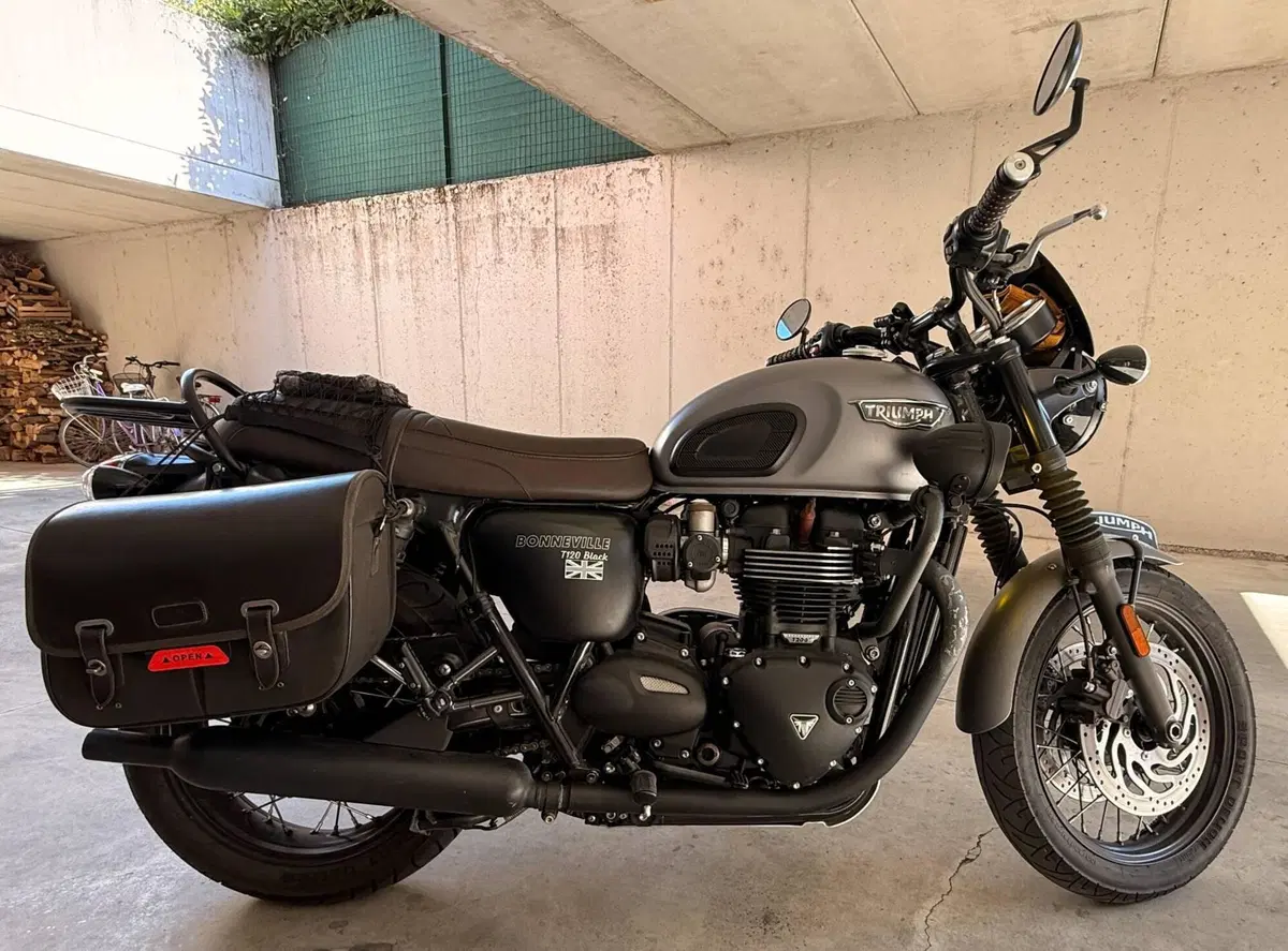 Triumph Bonneville T120 (2016 - 20) (5)