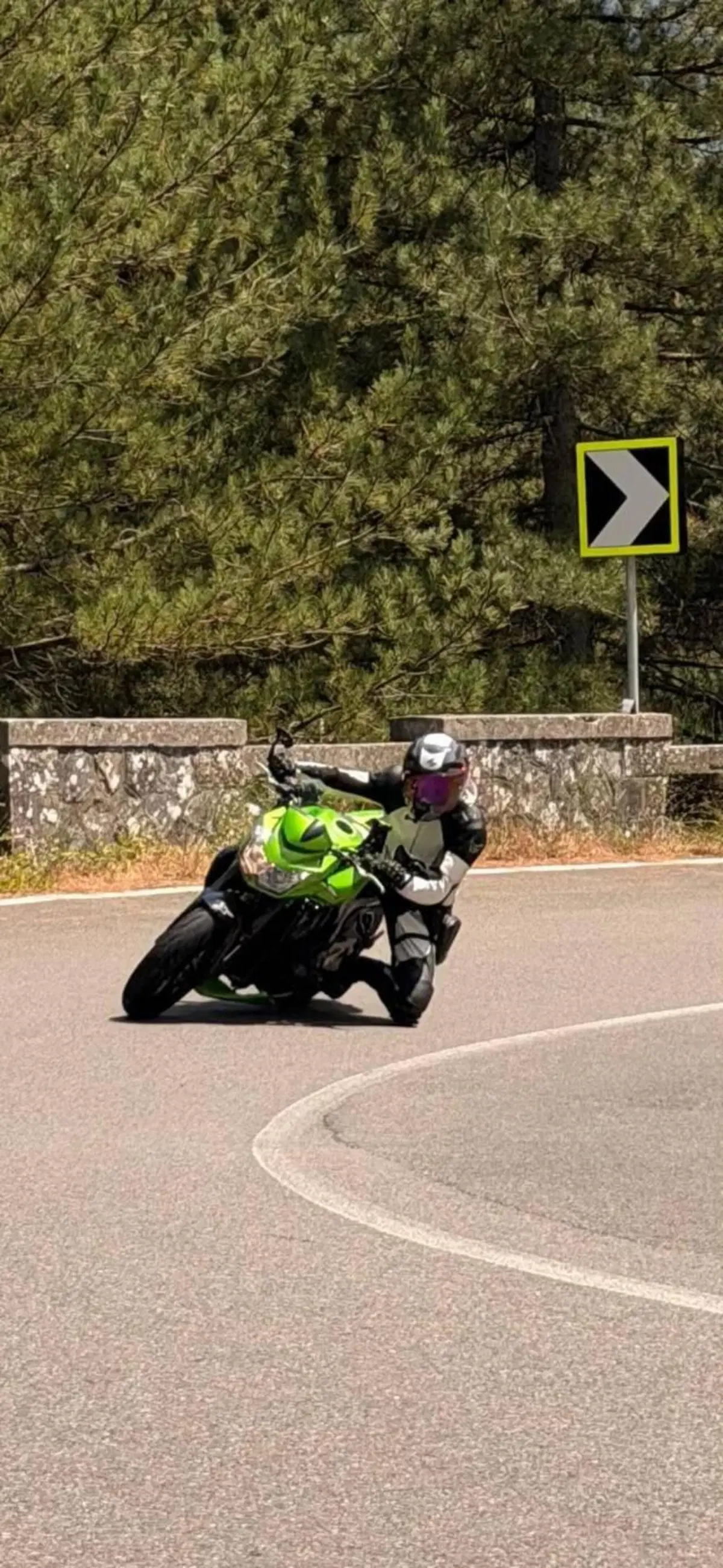 Kawasaki Z 750 (2007 - 14) (3)