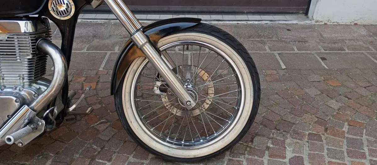 Suzuki SAVAGE 650 (10)